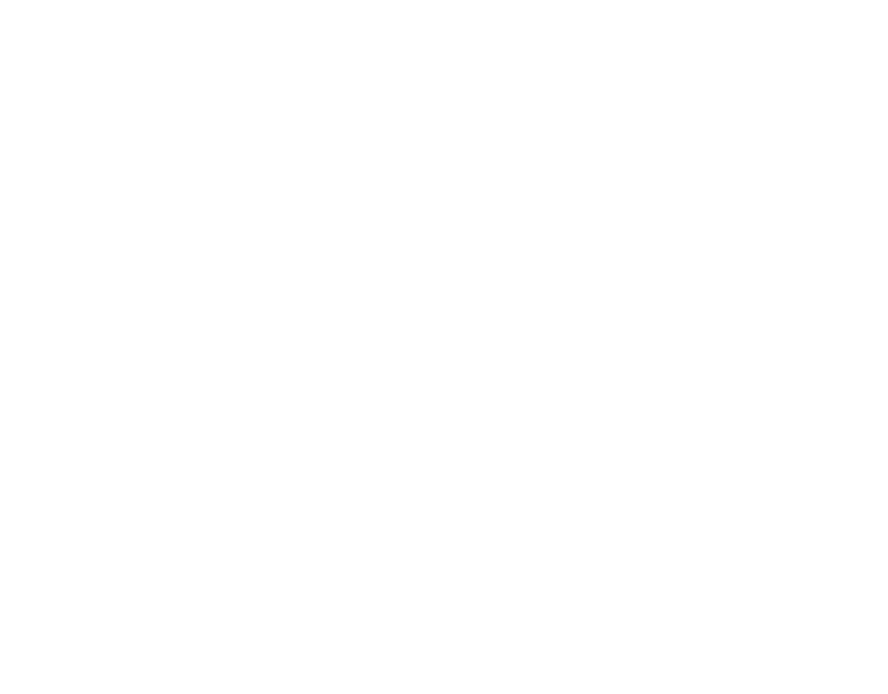 logo_NAIFA_white